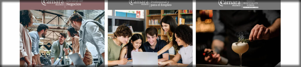 web cursos de formación