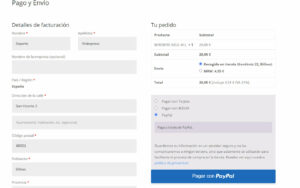 Página de pago (bizum, tarjeta, paypal) y envíos