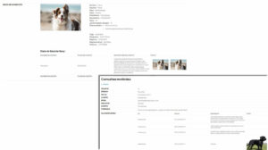 Acceso de veterinarios a las consultas y las mascotas